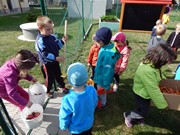 Sklízíme úrodu na zahrádce